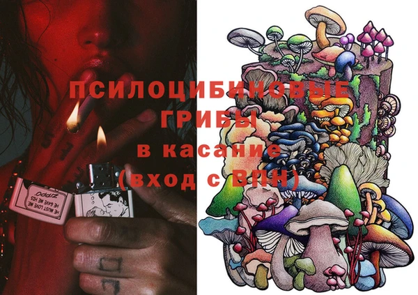 прущая мука Алзамай