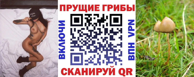 Галлюциногенные грибы GOLDEN TEACHER  Артёмовск 